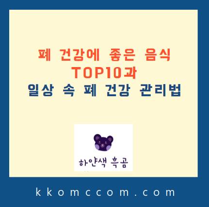 폐 건강 관리법 관련 블로그 포스팅 썸네일