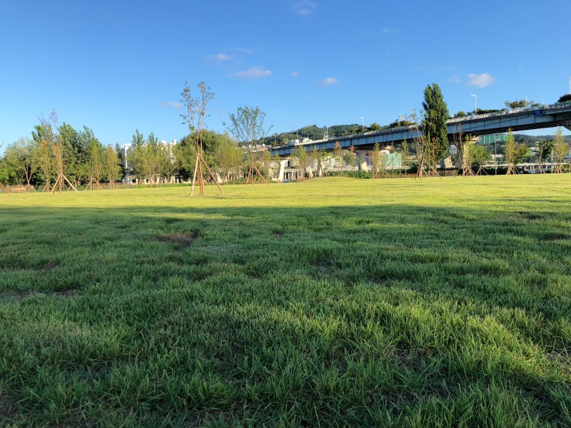 천호동 강동파크골프장