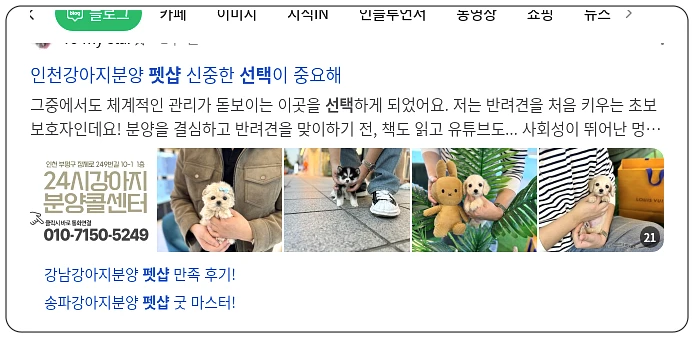 펫샵 선택_1_subsection
