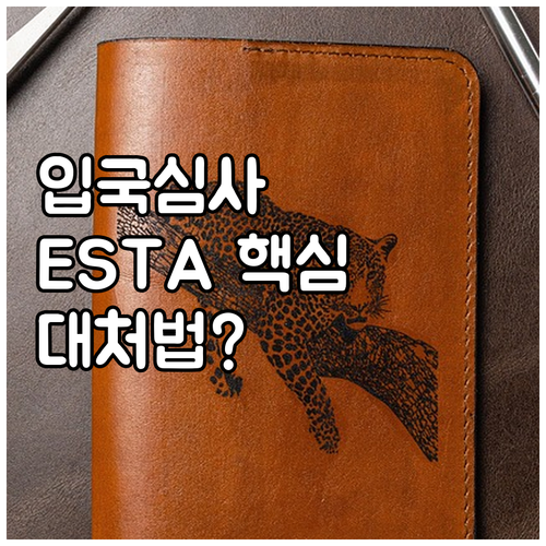 ESTA, 입국 서류부터 심사 대처법..