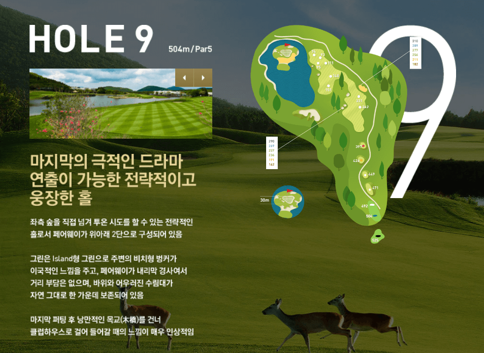 나인브릿지 CC의 코스 공략도 18