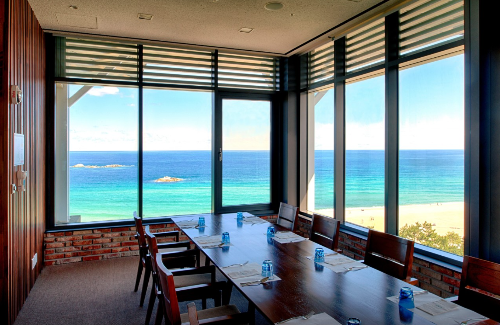 2025 강릉 경포 벚꽃축제