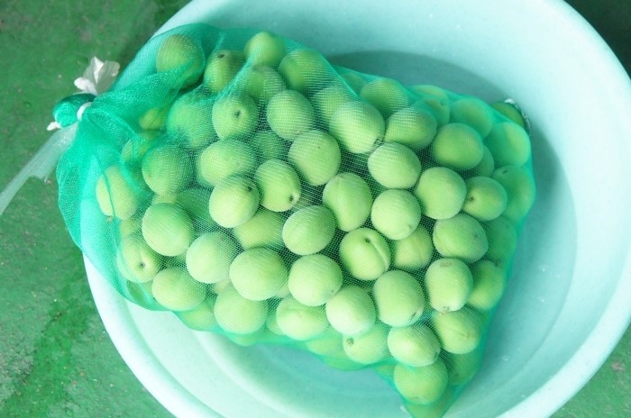 매실 흑매실 효능 매실짱아찌 매실청 만드는법