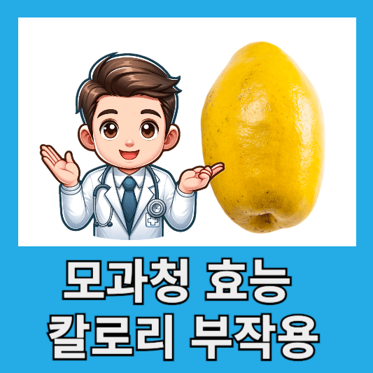 모과청효능 칼로리 부작용 섭취방법 주의사항