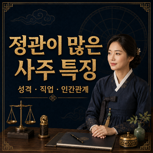 정관이_많은_사주_특징
