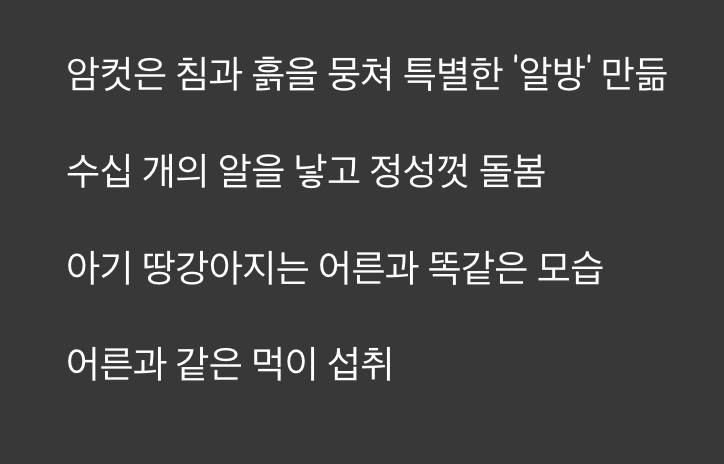 2세의 탄생, 땅속의 비밀스러운 '알방'