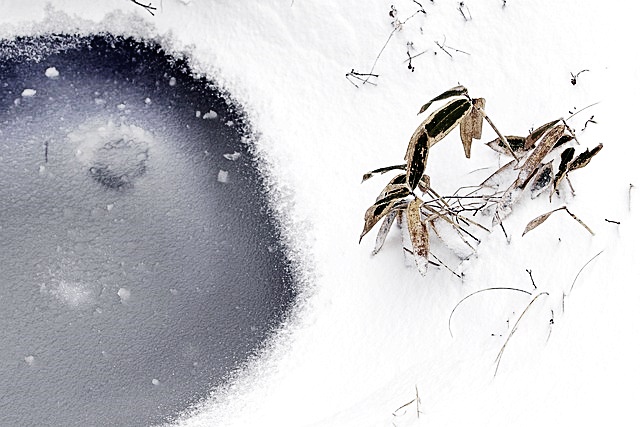 한라산 탐방 예약 방법