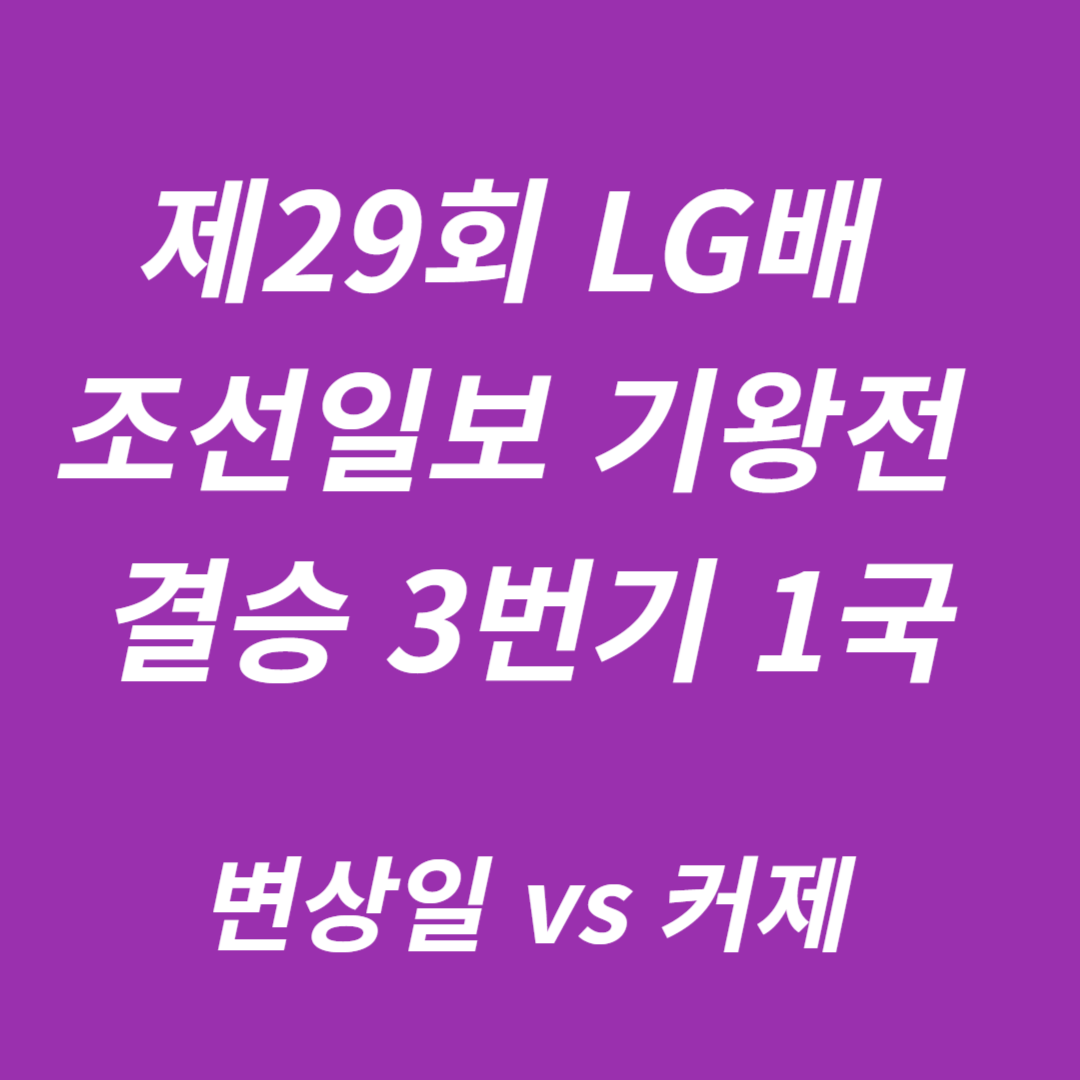 제29회 LG배 조선일보 기왕전 결승 3번기 1국 변상일 vs 커제