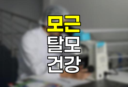 모근 강화 방법 7가지 상세 가이드, 건강한 모발과 탈모 예방