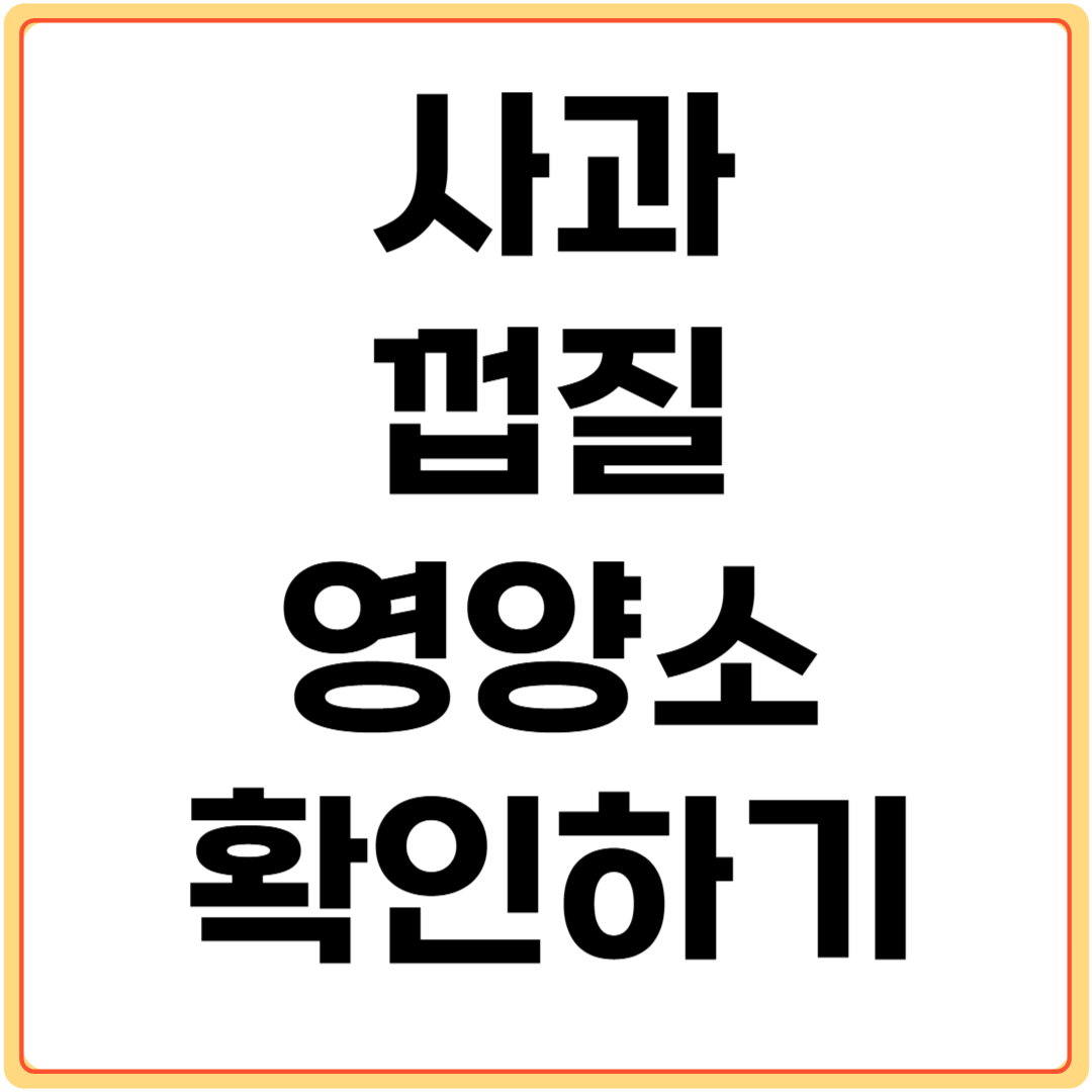 사과-껍질-영양소-확인하기