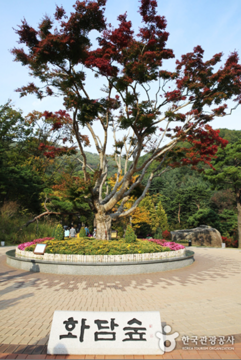화담숲 입구
