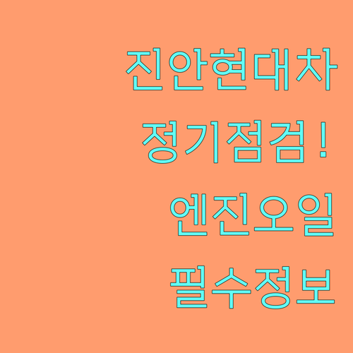 진안군 현대차 정기점검 및 엔진오일 ..