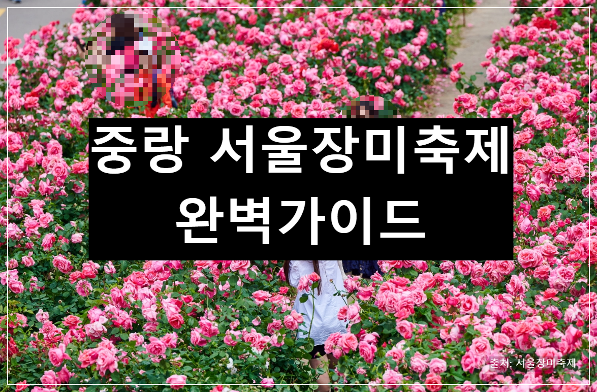 중랑 장미축제 안내
