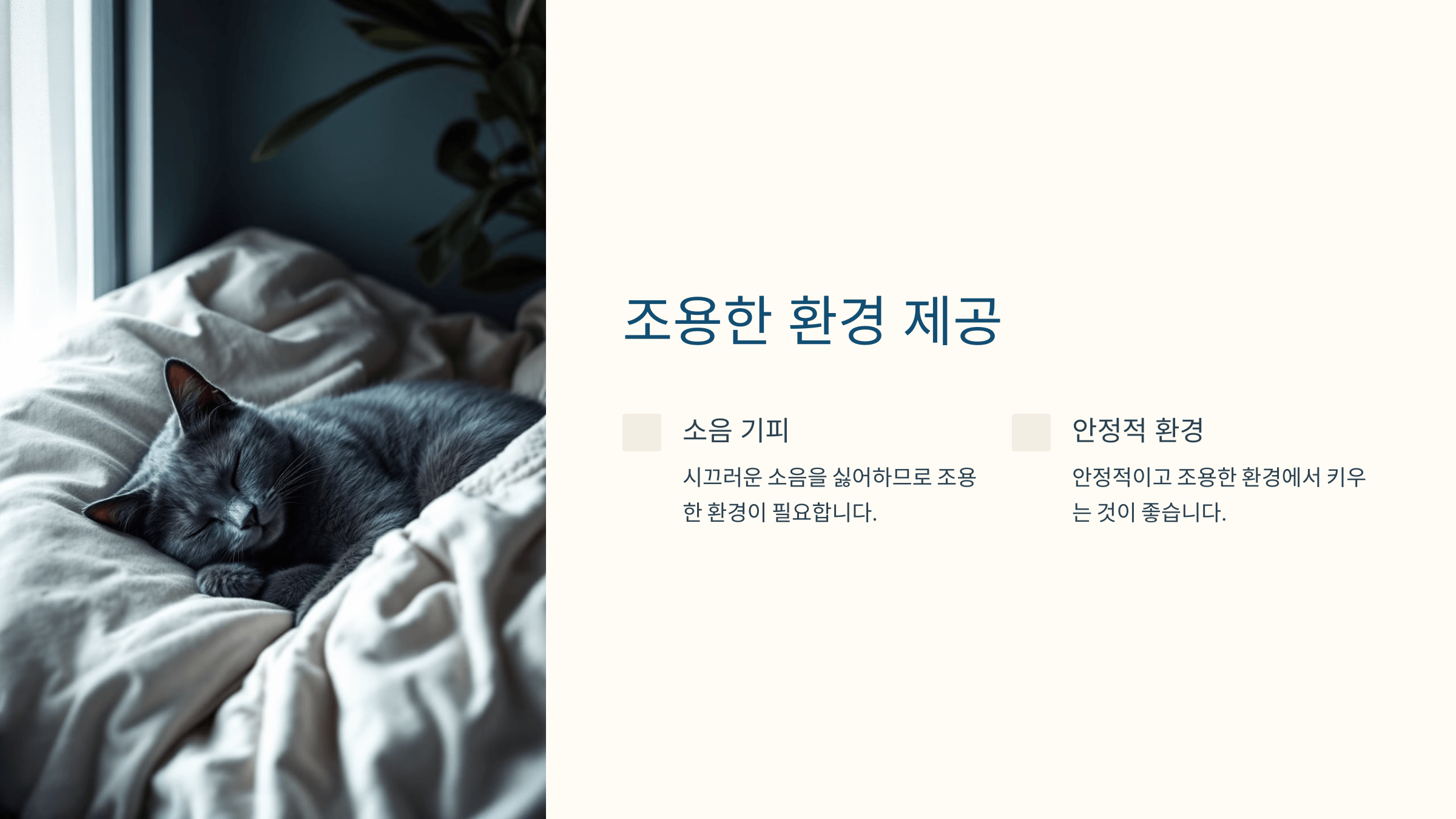 러시안블루 고양이 사진입니다.