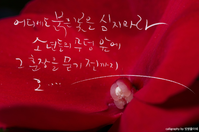 정태춘시5.18중에서