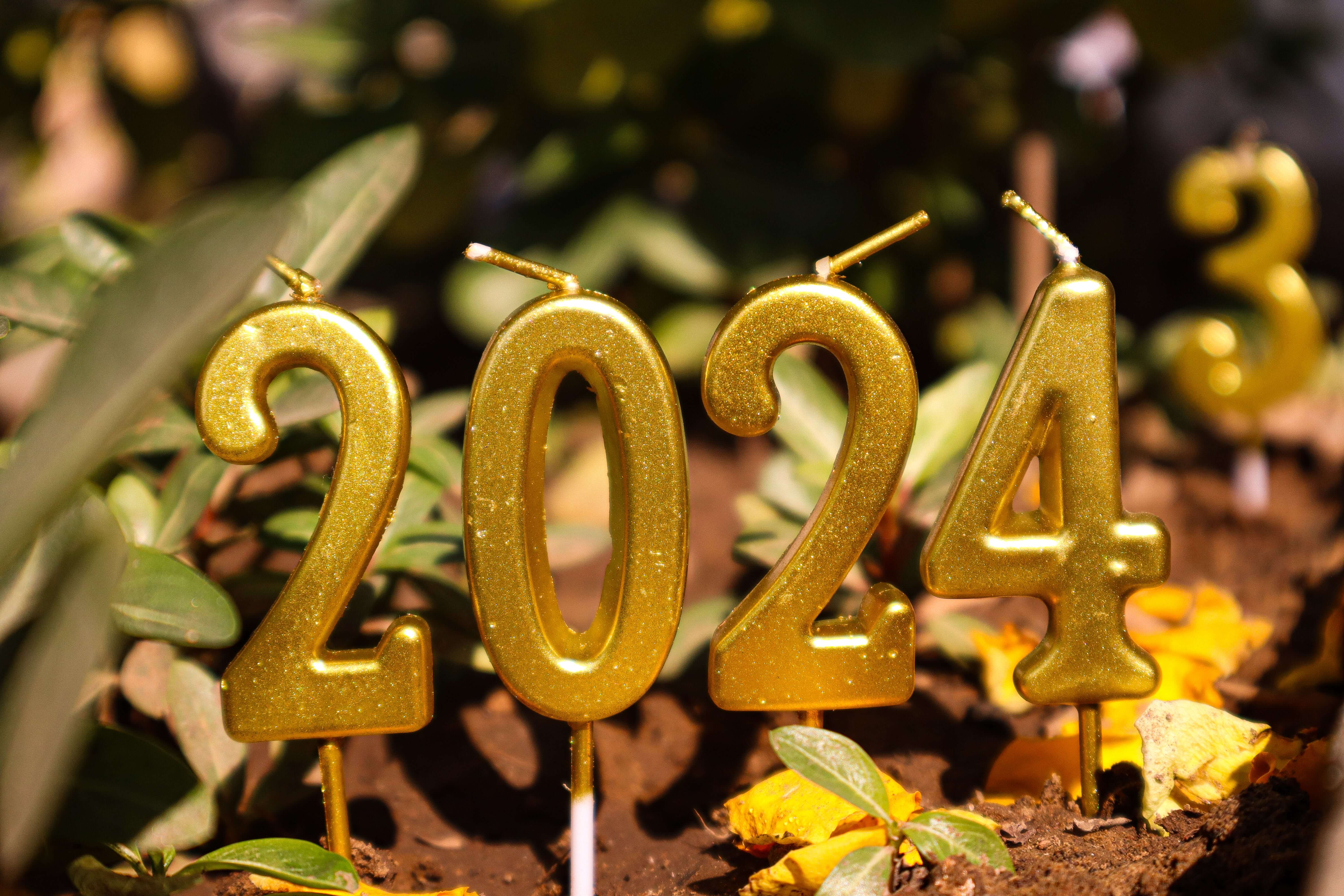 2024 사진