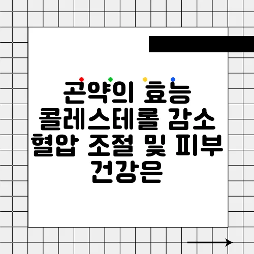 곤약의 효능 콜레스테롤 감소 혈압 조절 및 피부 건강은