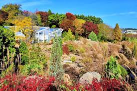 탄소중립 자연 관련 사진