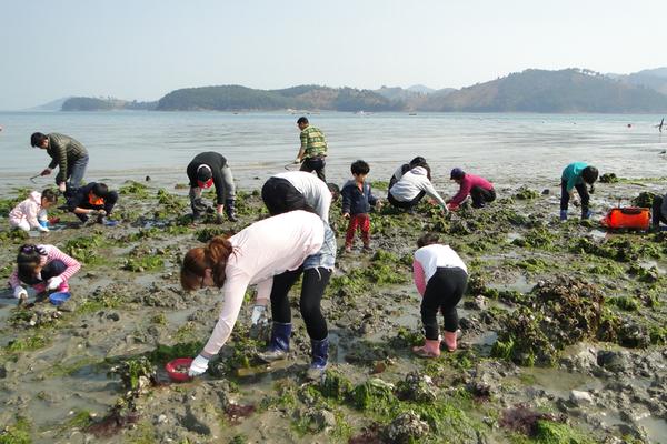 갯벌-체험