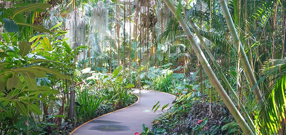 서울-식물원-입장료-주차-요금-운영시간