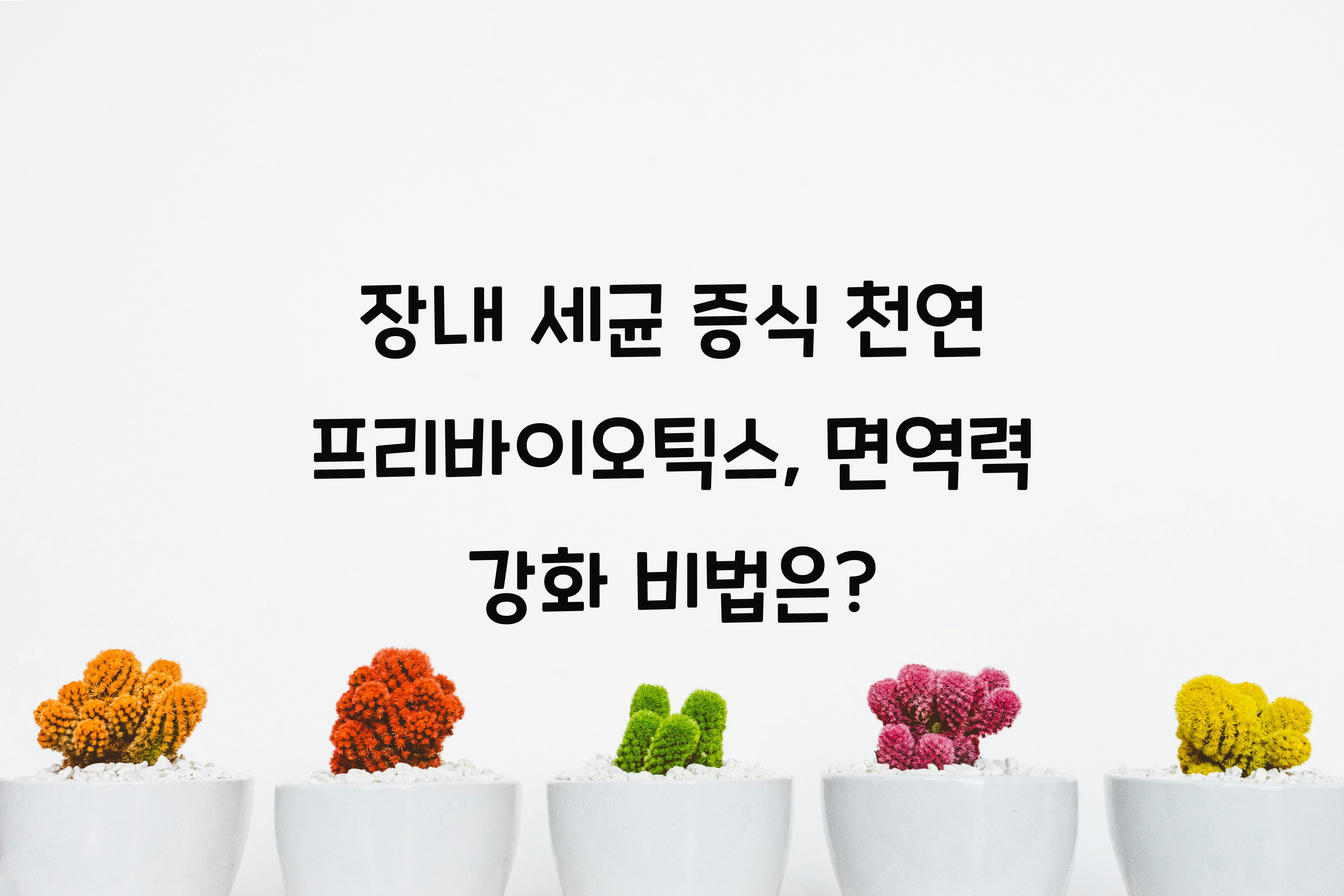 장내 세균 증식 천연 프리바이오틱스