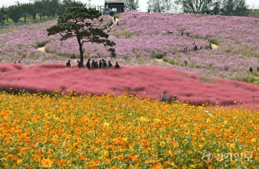 안성-팜랜드-경기도