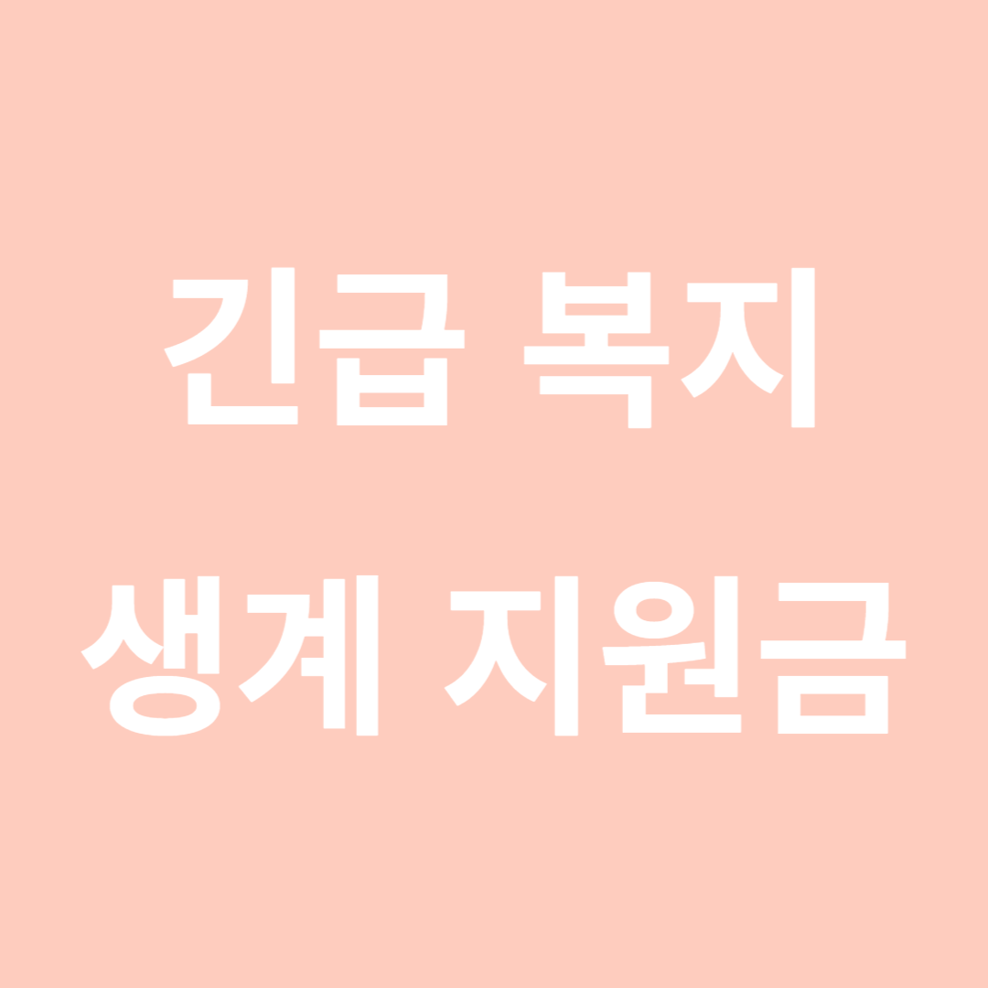긴급 복지 생계 지원금