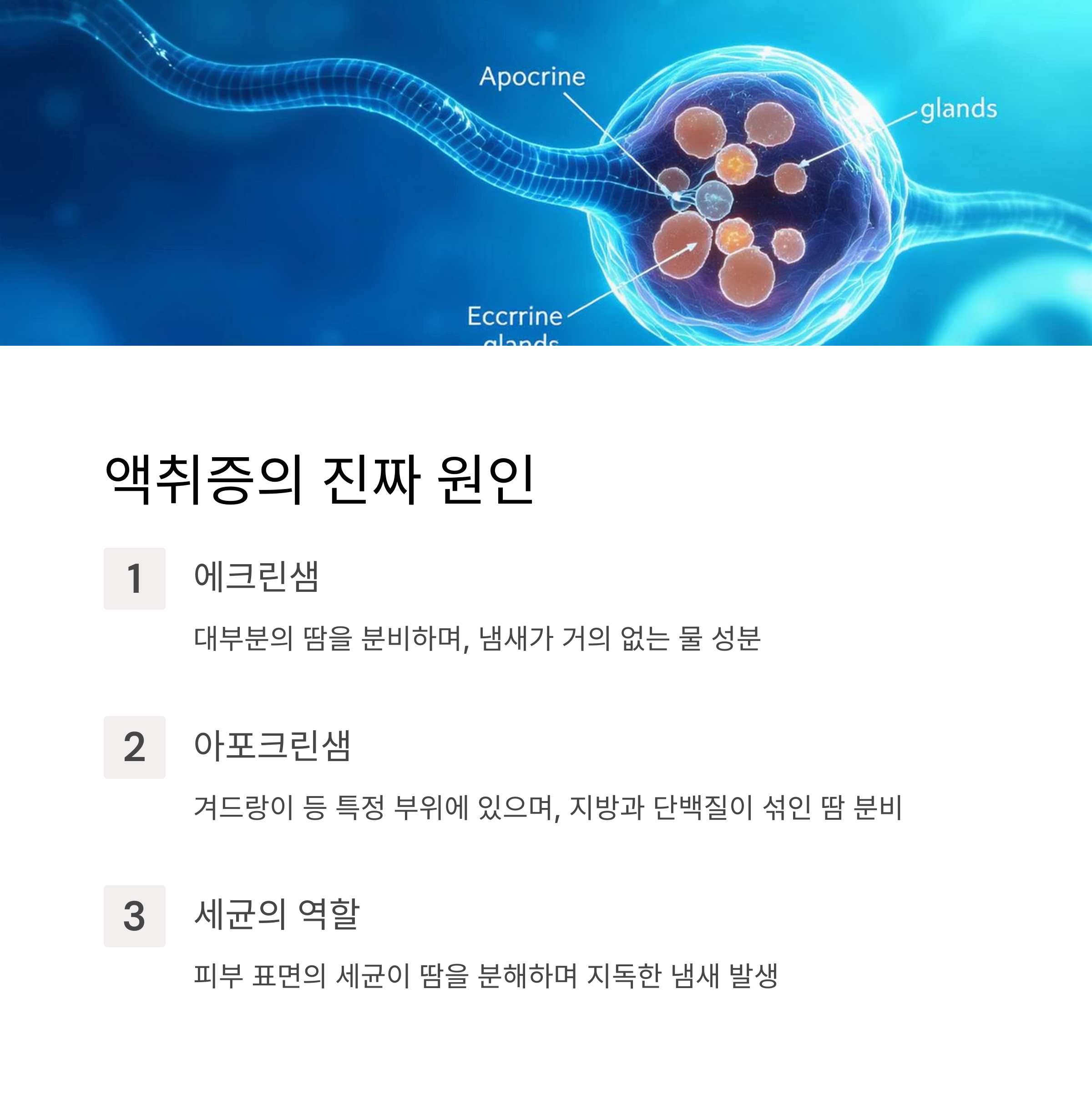 액취증이란 무엇인가