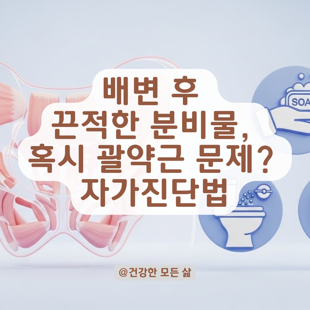 치질 경험자 필독! 배변 후 끈적한 분비물, 단순 염증일까 괄약근 문제일까?