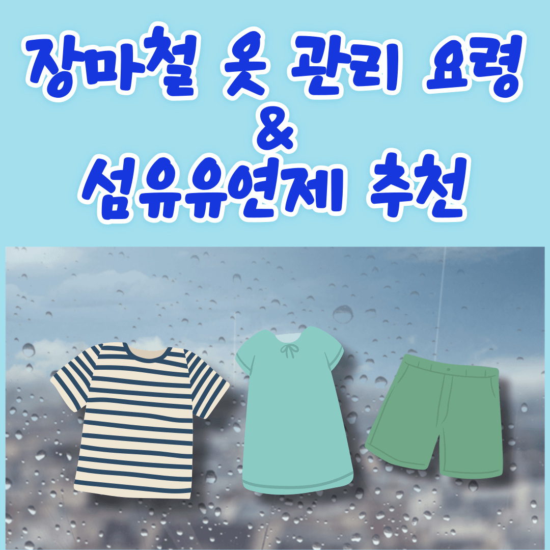 장마철 옷 관리 요령 및 섬유유연제 추천