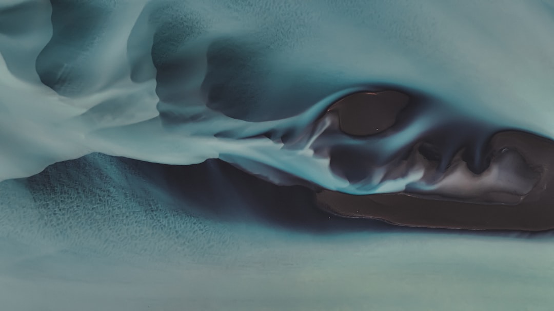 Bongueo (the local name for the ice fish)