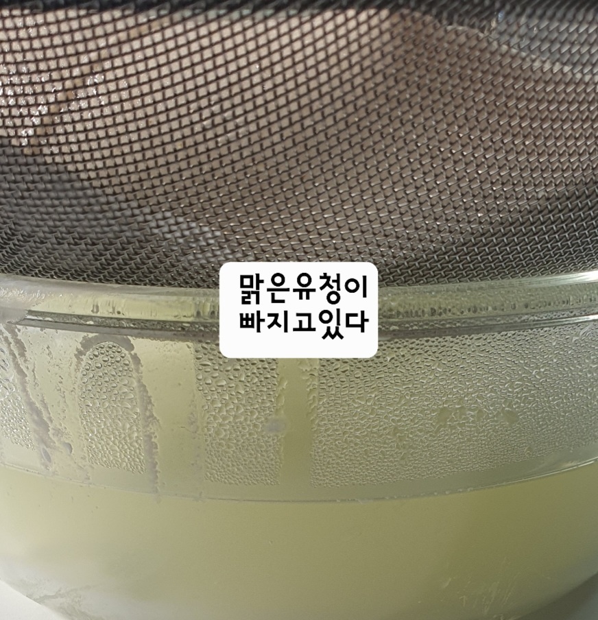 맑은 유청이 빠지는 모습