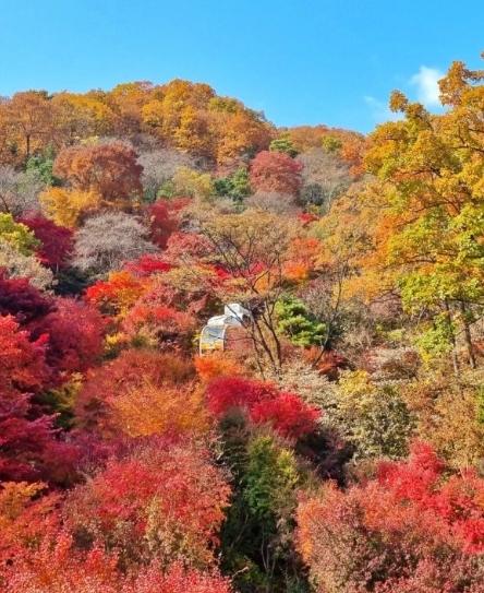 화담숲-모노레일