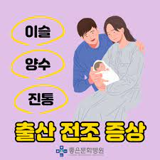 하니 대전 프로젝트