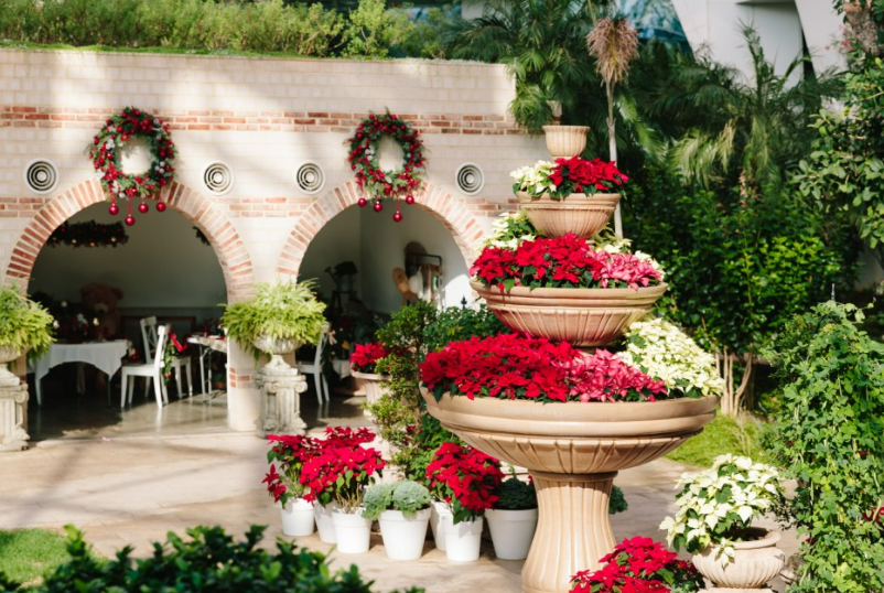 서울식물원 전시온실