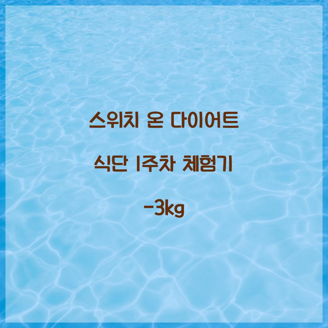 스위치 온 다이어트 식단