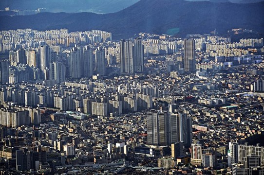 도심지내 아파트 숲 모습