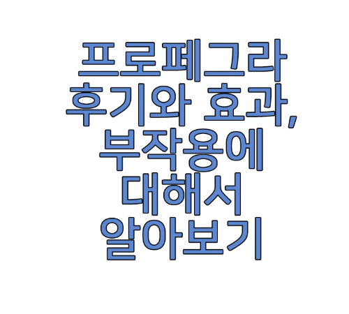 프로페그라에 관한 글 보러 가기 링크 사진