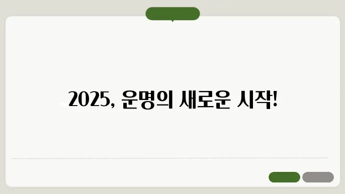 2025 신년운세