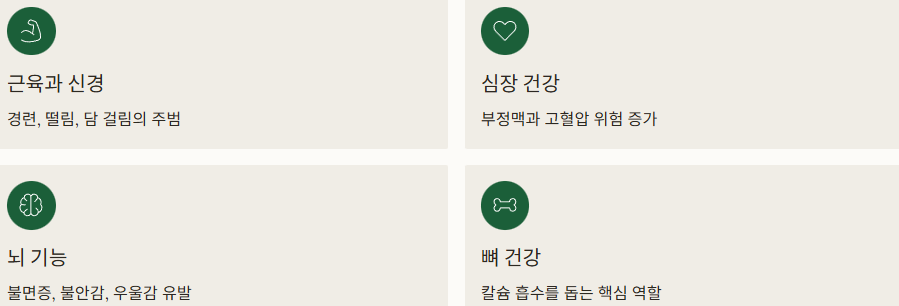 마그네슘 역활 이미지