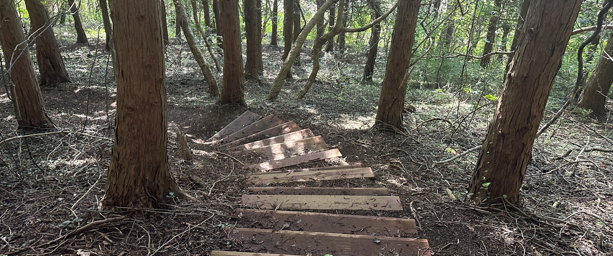 오름 내려가는길