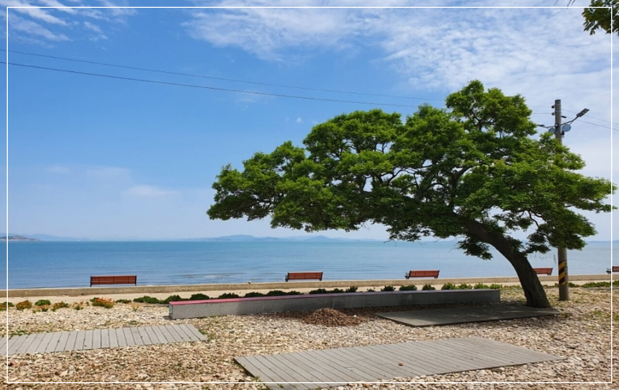 영광 가볼만한곳 베스트10 송이도