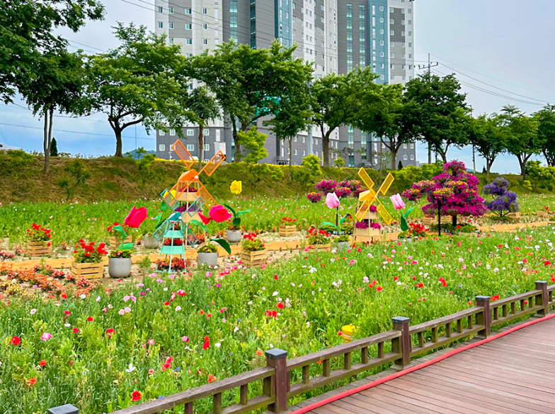 황룡강 생태공원 꽃구경 명소! 계절 따라 즐기는 화려한 꽃길