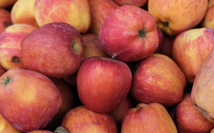 소비자와 더 가까워진 농업: 직거래 플랫폼과 로컬푸드의 부상