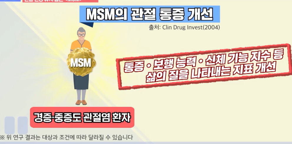 msm의 효능