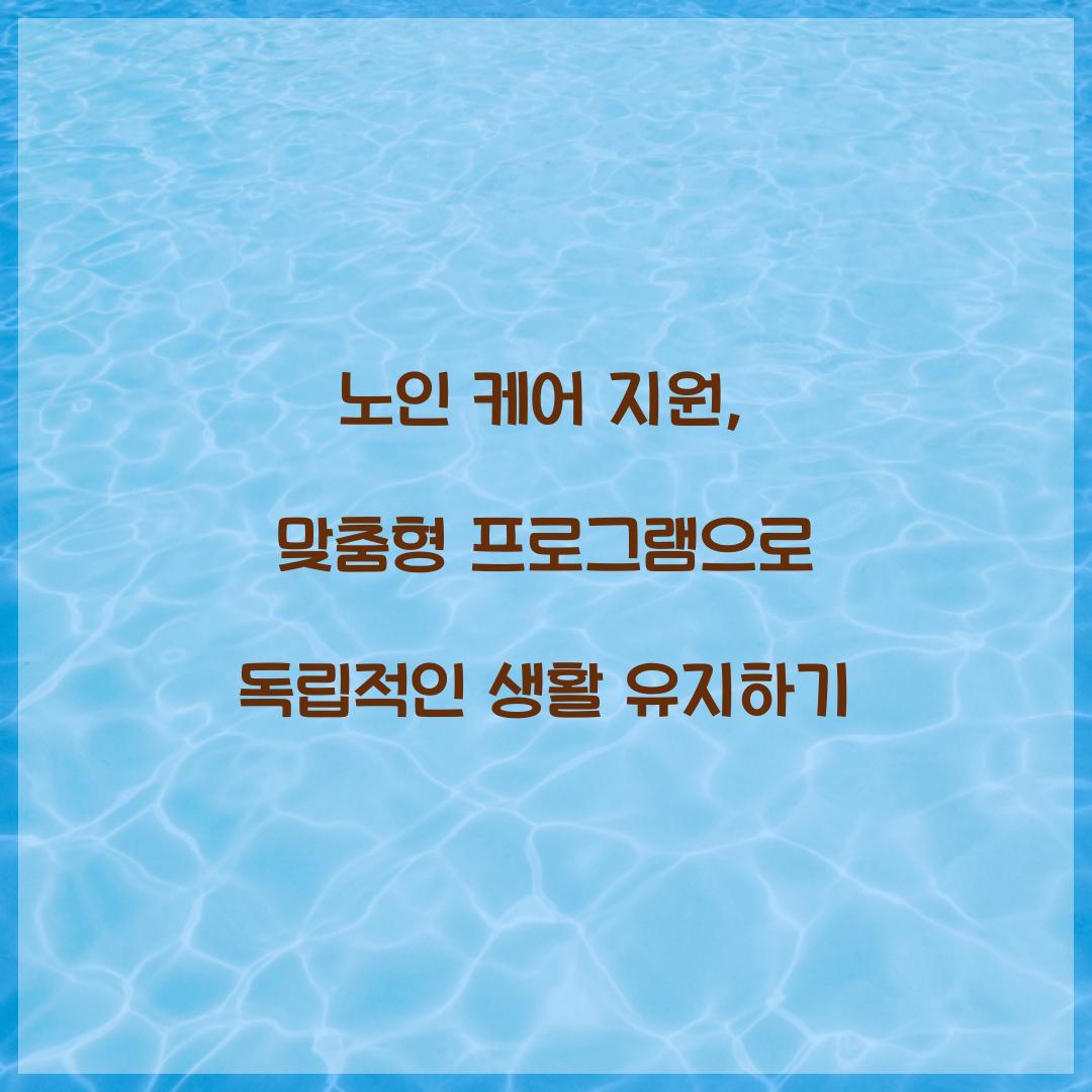 노인 케어 지원