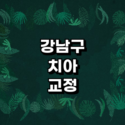 서울 강남구 교정 치과