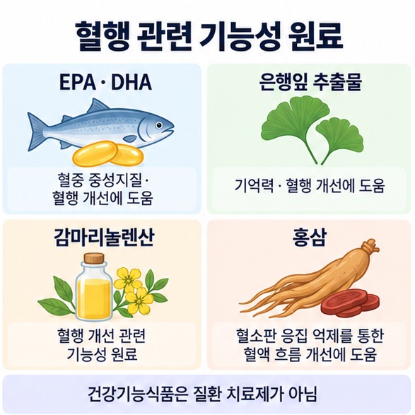 EPA DHA 은행잎 추출물 감마리놀렌산 홍삼 등 혈행 개선 관련 기능성 원료를 비교한 인포그래픽