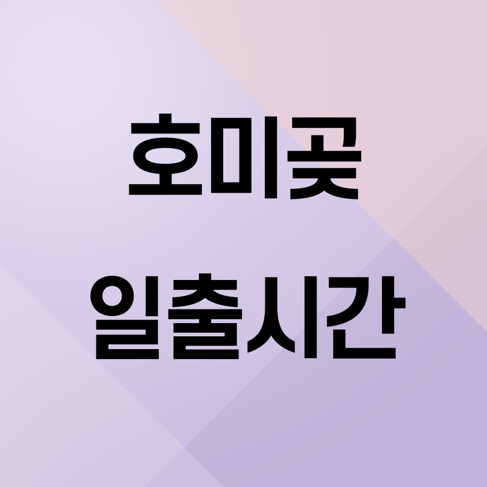 호미곶-일출시간