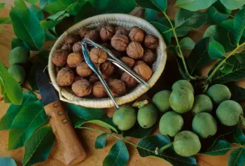 호두 효능 및 영양소&amp;#44; 주의점